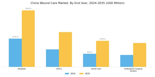 China Wound Care Market Segment Image 2