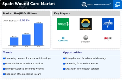 Spain Wound Care Market Infographic