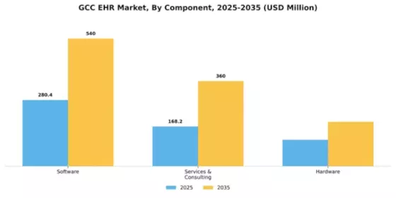 GCC Ehr Emr Market Segment Image 1
