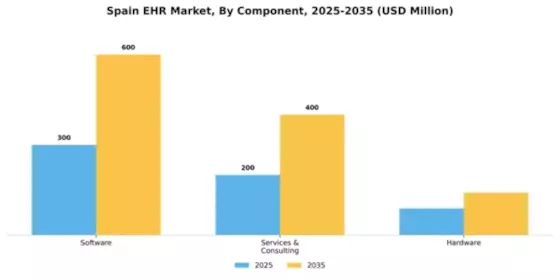 Spain Ehr Emr Market Segment Image 1