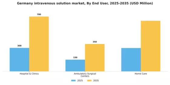 Germany Intravenous Solution Market Segment Image 1