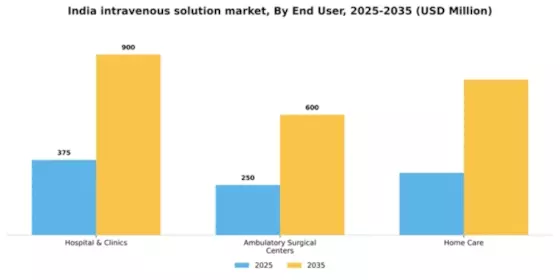 India Intravenous Solution Market Segment Image 1