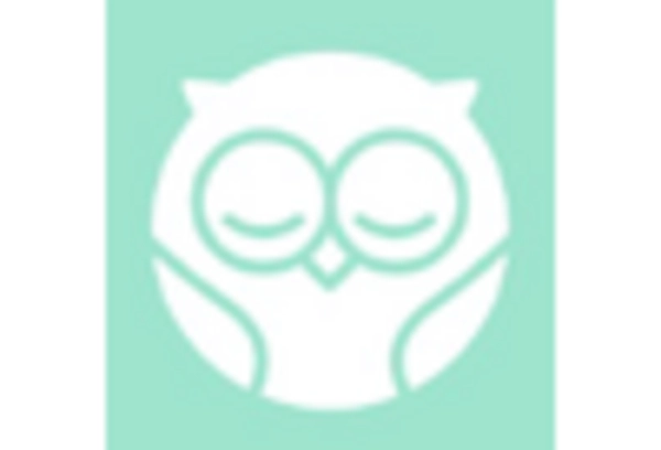 India Advanced Baby Monitors Market key player