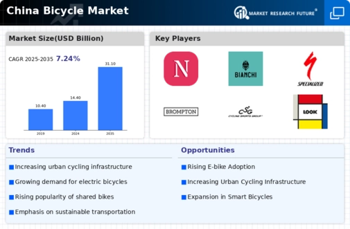 China Bicycle Market Infographic