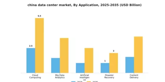 China Data Center Market Segment Image 0