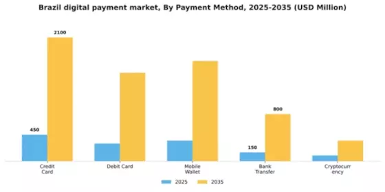 Brazil Digital Payment Market Segment Image 2