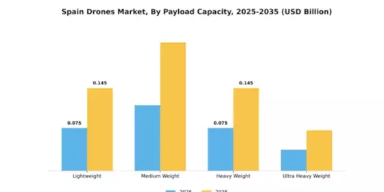Spain Drones Market Segment Image 3