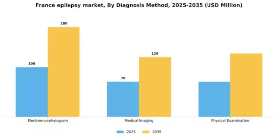 France Epilepsy Market Segment Image 0