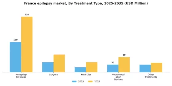 France Epilepsy Market Segment Image 2