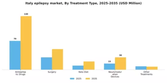 Italy Epilepsy Market Segment Image 2