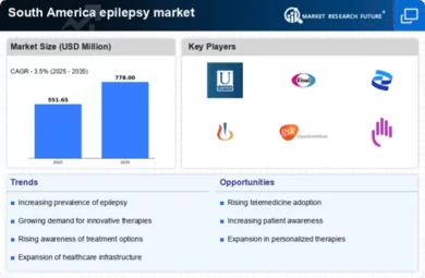 South America Epilepsy Market Infographic