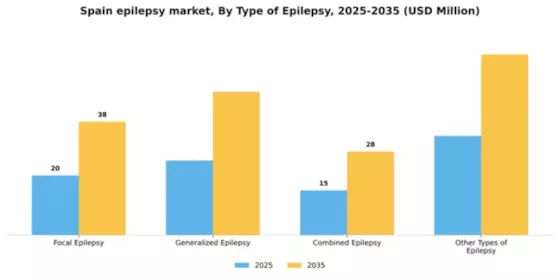 Spain Epilepsy Market Segment Image 3