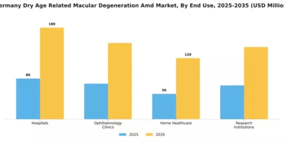 Germany Dry Age Related Macular Degeneration Market Segment Image 1
