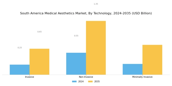 South America Medical Aesthetics Market Segment Image 1