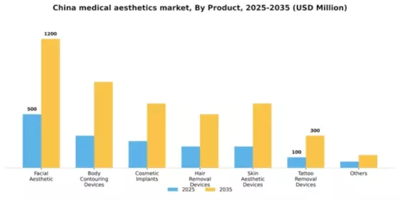 China Medical Aesthetics Market Segment Image 1