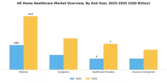 UK Home Healthcare Market Segment Image 1