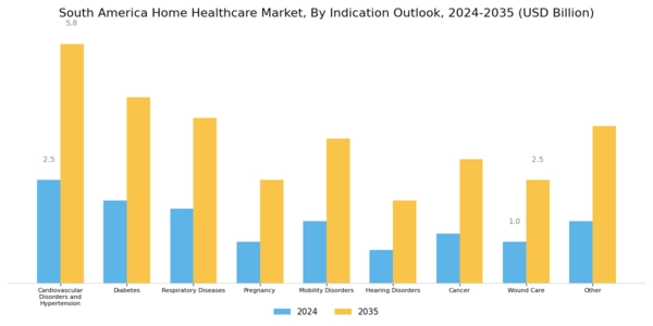 South America Home Healthcare Market Segment Image 2