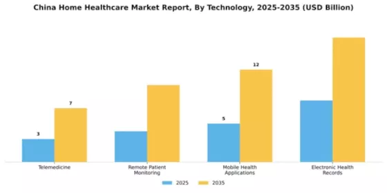 China Home Healthcare Market Segment Image 2