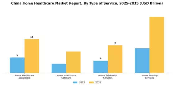 China Home Healthcare Market Segment Image 3