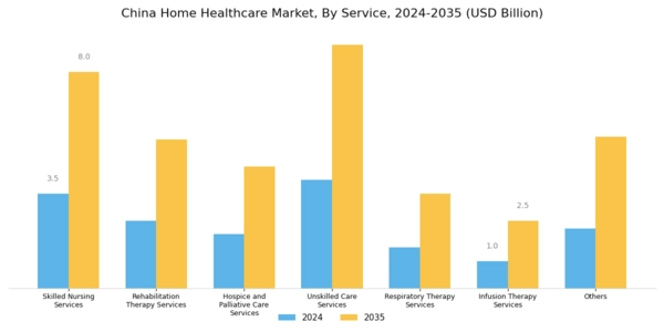 China Home Healthcare Market Segment Image 1