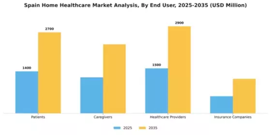 Spain Home Healthcare Market Segment Image 1