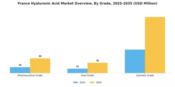 France Hyaluronic Acid Market Segment Image 2