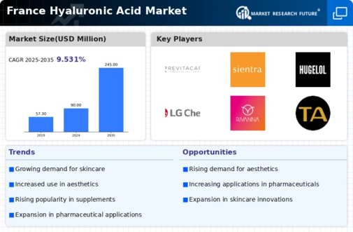 France Hyaluronic Acid Market Infographic