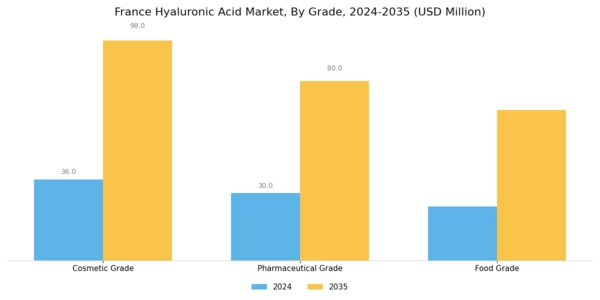France Hyaluronic Acid Market Segment Image 0