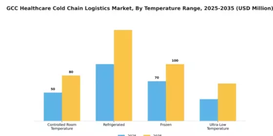 GCC Healthcare Cold Chain Logistics Market Segment Image 3