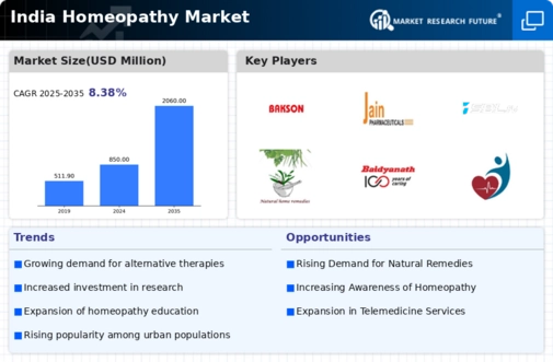 India Homeopathy Market Infographic