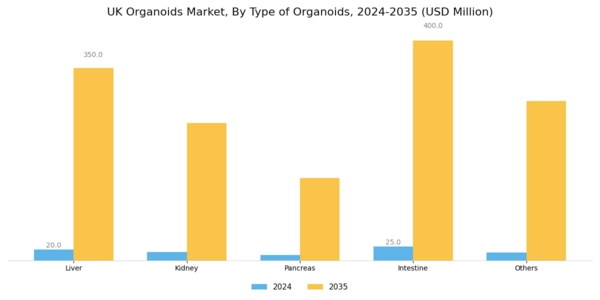 UK Organoids Market Segment Image 1