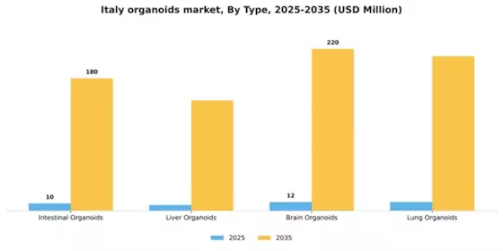 Italy Organoids Market Segment Image 3