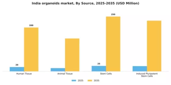India Organoids Market Segment Image 2