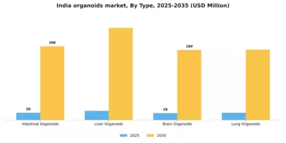 India Organoids Market Segment Image 3