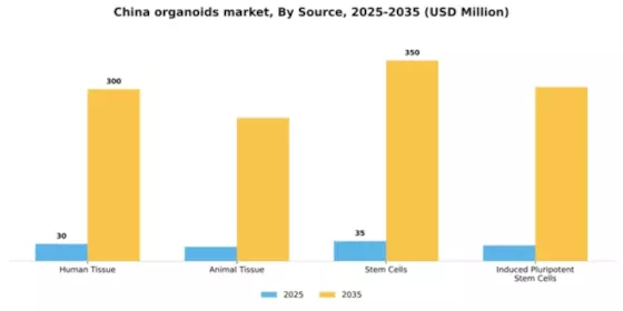 China Organoids Market Segment Image 2