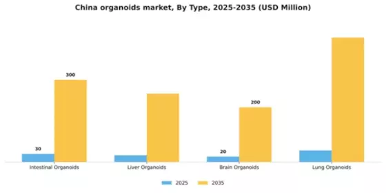 China Organoids Market Segment Image 3