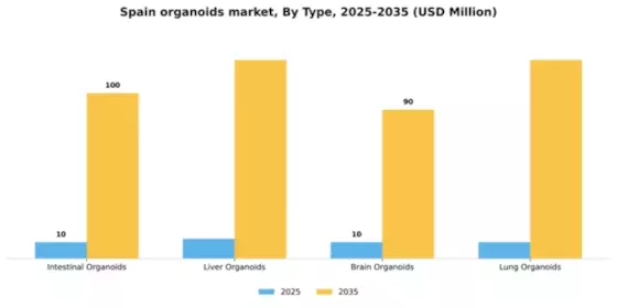Spain Organoids Market Segment Image 3