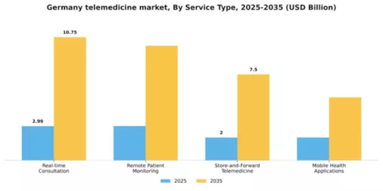 Germany Telemedicine Market Segment Image 1