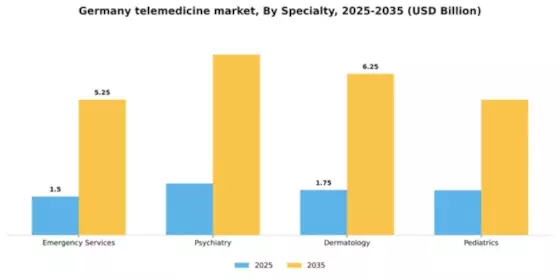 Germany Telemedicine Market Segment Image 2