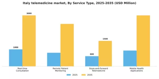 Italy Telemedicine Market Segment Image 1