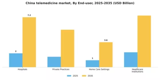 China Telemedicine Market Segment Image 0