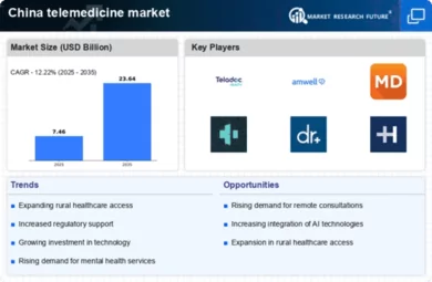 China Telemedicine Market Infographic