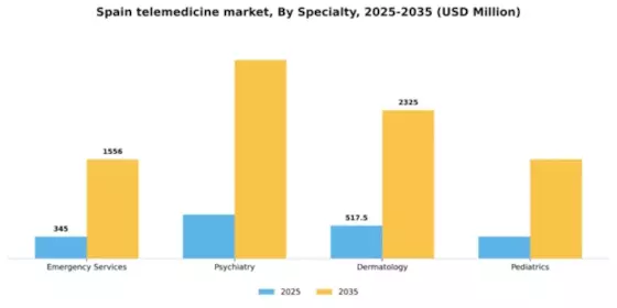 Spain Telemedicine Market Segment Image 2