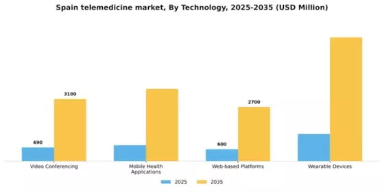 Spain Telemedicine Market Segment Image 3