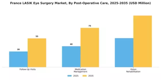 France Lasik Eye Surgery Market Segment Image 1