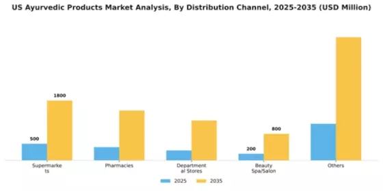 US Ayurvedic Products Market Segment Image 0