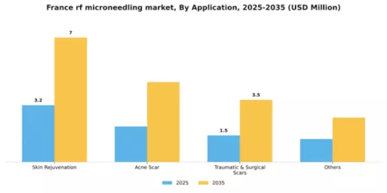 France RF Microneedling Market Segment Image 0