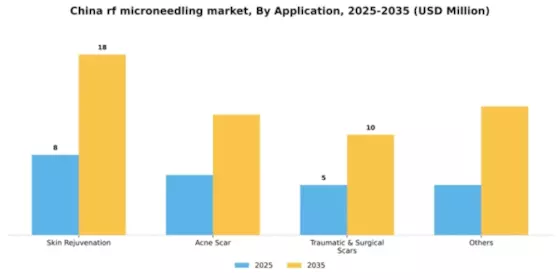 China RF Microneedling Market Segment Image 0