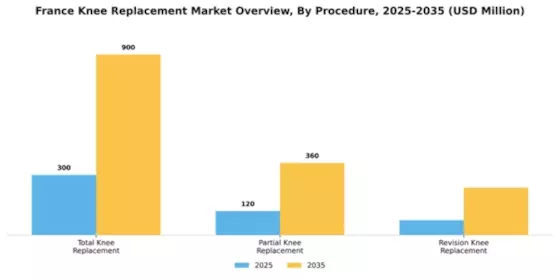 France Knee Replacement Market Segment Image 3