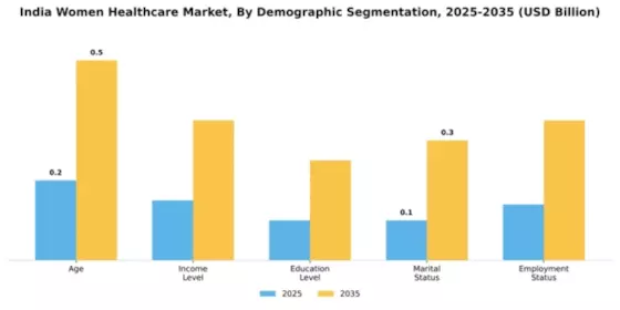 India Womens Healthcare Market Segment Image 0